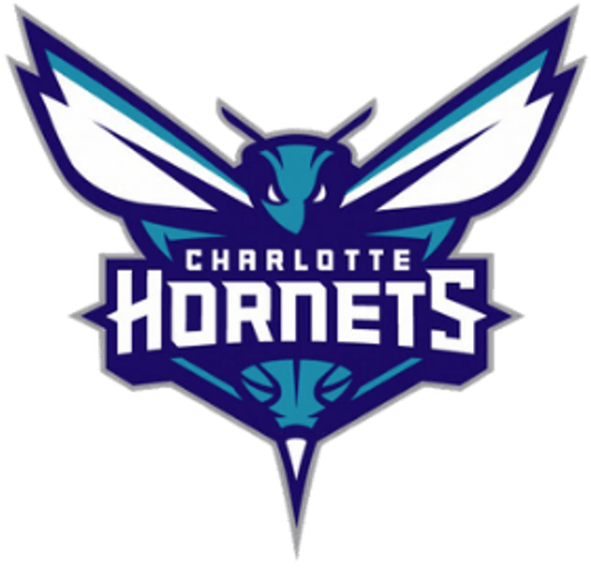 Charlotte Hornets case study